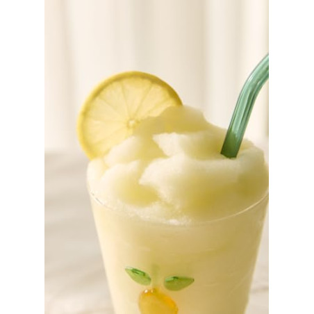 CREATE/SLUSH MAKER/Máquina de granizados y bebidas heladas/Capacidad de 2.6L, 6 programas pre-establecidos, control táctil, mo