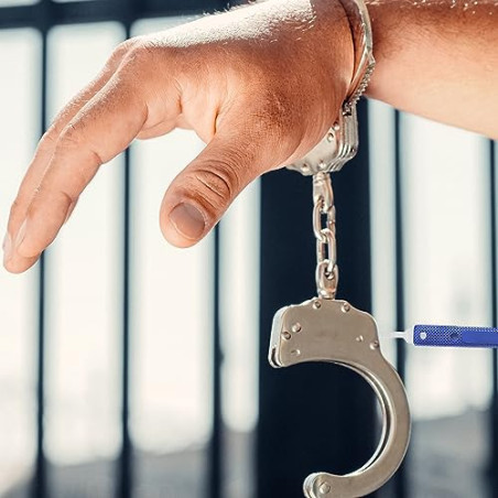 Retoo Juego de ganzúas, 17 Piezas, Guía para Principiantes y Cerrajeros, Lockpicking Set de Extracción, Candado Transparente,