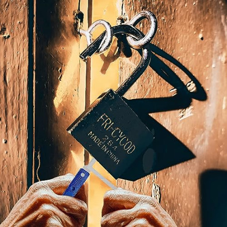 Retoo Juego de ganzúas, 17 Piezas, Guía para Principiantes y Cerrajeros, Lockpicking Set de Extracción, Candado Transparente,