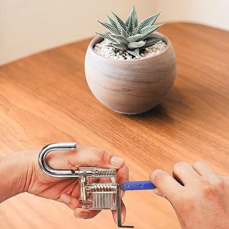 Retoo Juego de ganzúas, 17 Piezas, Guía para Principiantes y Cerrajeros, Lockpicking Set de Extracción, Candado Transparente,
