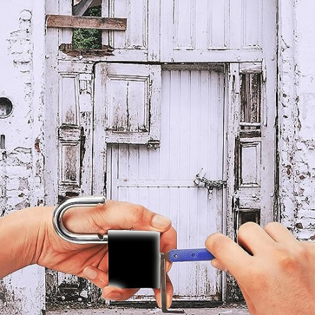 Retoo Juego de ganzúas, 17 Piezas, Guía para Principiantes y Cerrajeros, Lockpicking Set de Extracción, Candado Transparente,